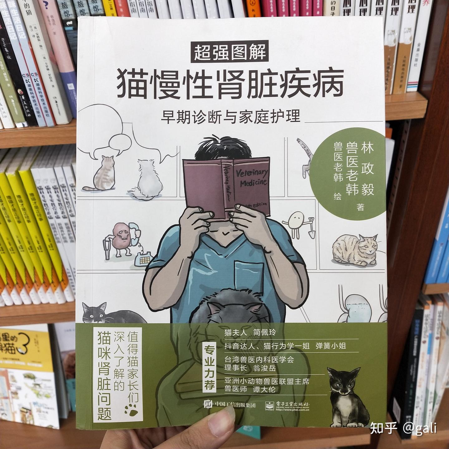 三岁3—4级慢性肾衰猫猫治疗及日常护理分享- 知乎