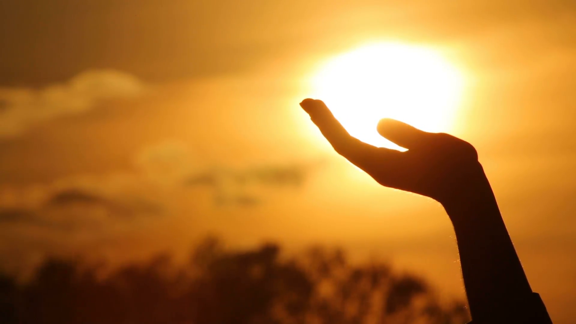 有哪些好看的手和阳光的图片? - 知乎