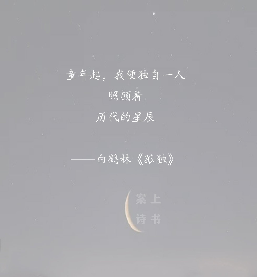 v2-c05362a742d52691d0a12b8cefb5003e_1200x500.jpg