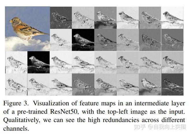 Run Fast Flops 论文解析Run, Don’t Walk: Chasing Higher FLOPS for Faster Neural Networks - 知乎