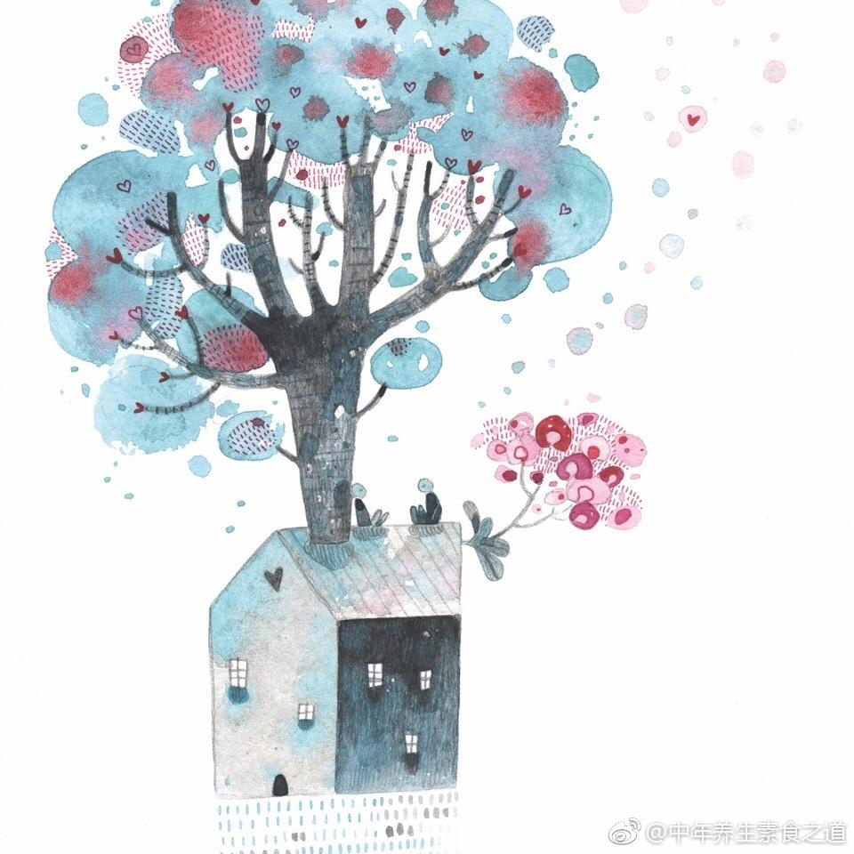 【读书笔记】吃素--《白日梦之家》