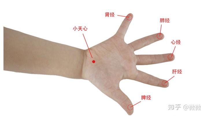积食的穴位推拿有哪些 - 知乎