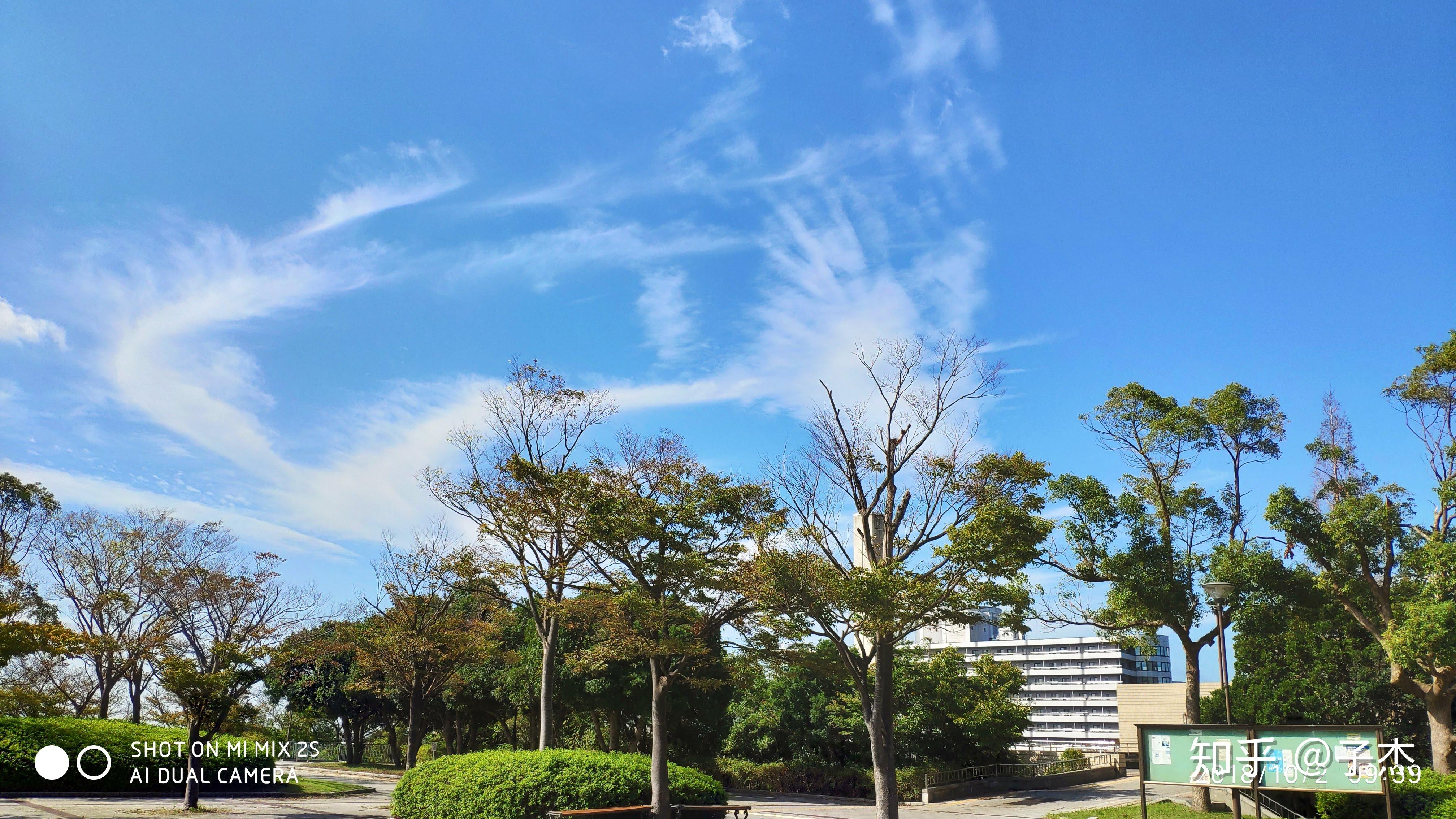 就读于日本的和歌山大学是怎样的体验？ 知乎