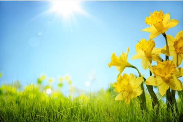 Spring 2025 Ucf Registration: Avoid These Critical Mistakes! - kx2u3rc