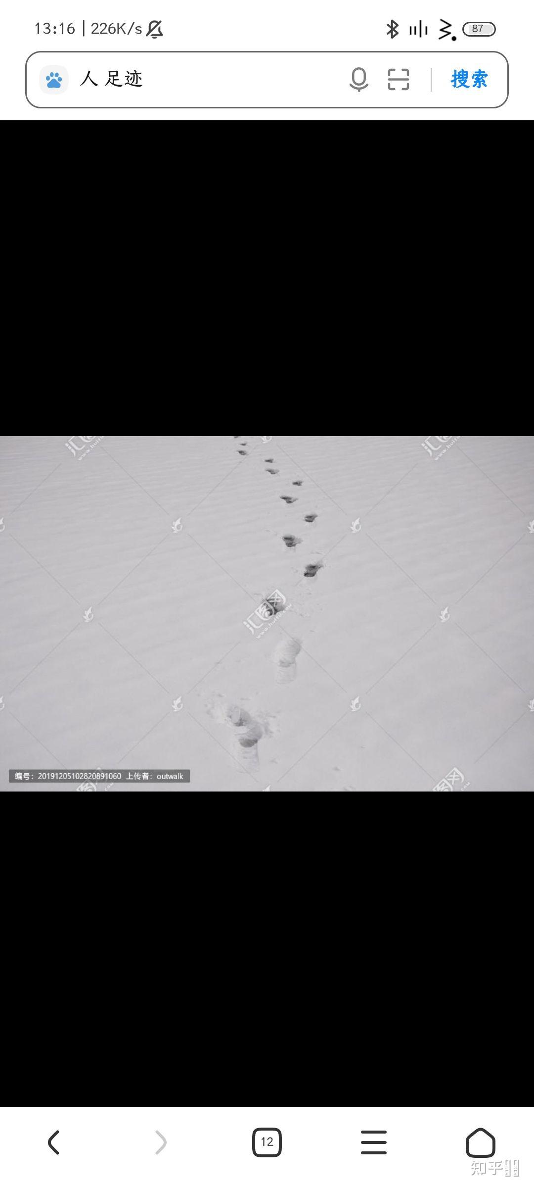 如何凭足迹判断动物是四足行走还是两足