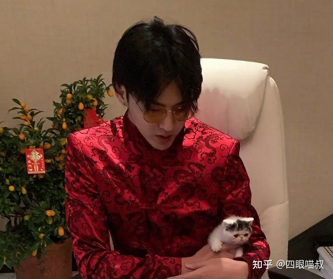 价格在2000以上;王一博的"赵书宇"(中华田园猫)王一博:王一博的"