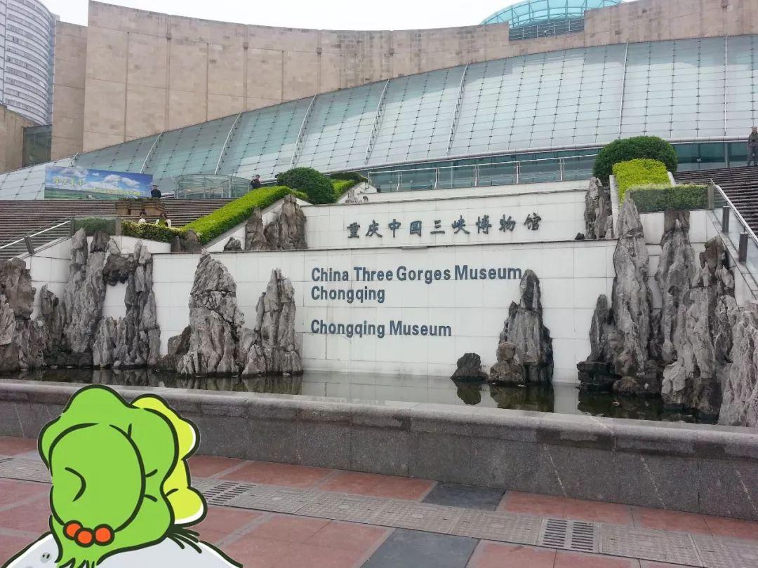 当蛙儿子旅行来到了重庆