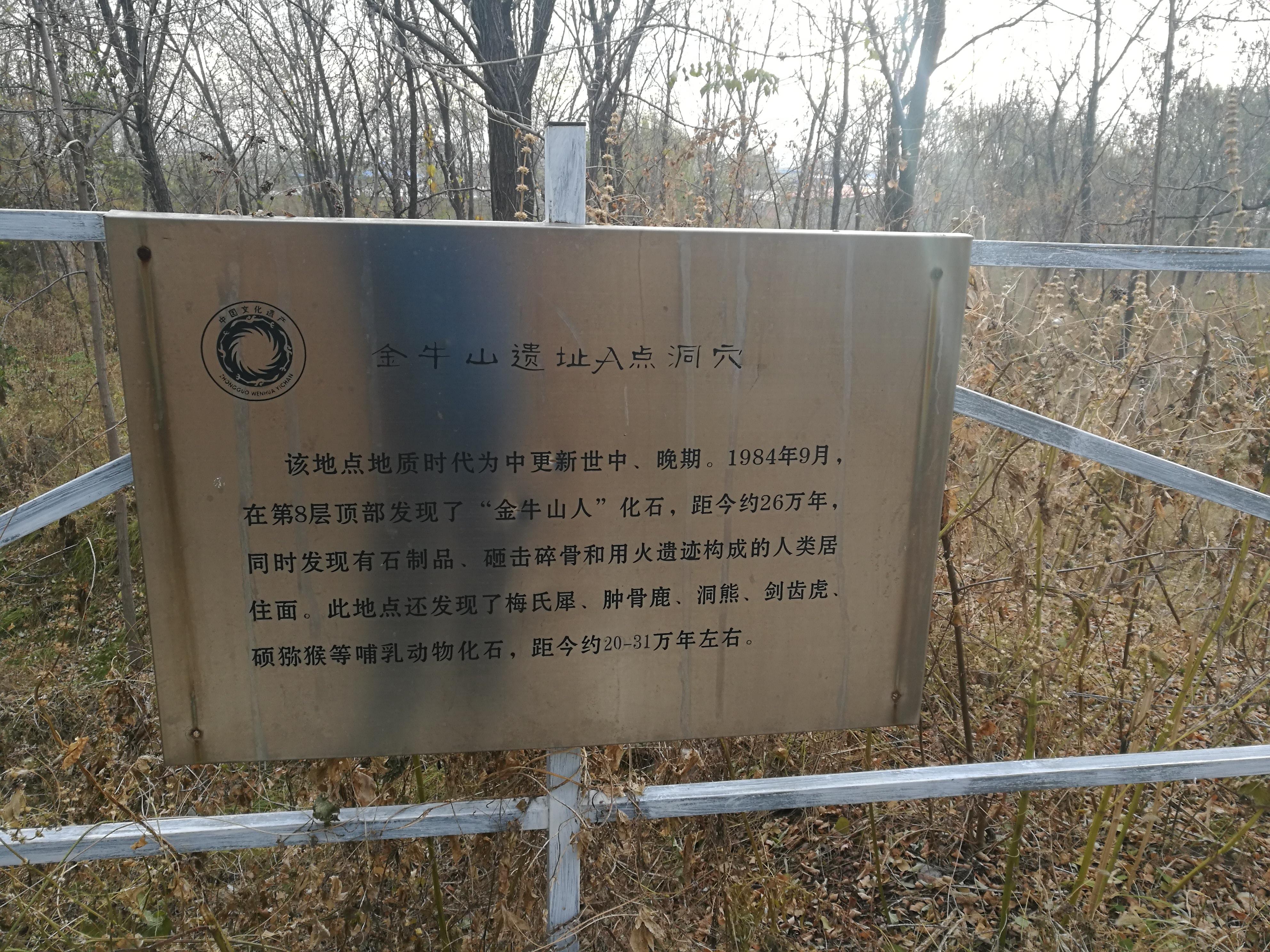 再探金牛山遗址