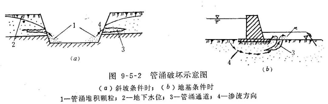 为什么千里之堤毁于蚁穴? - 知乎