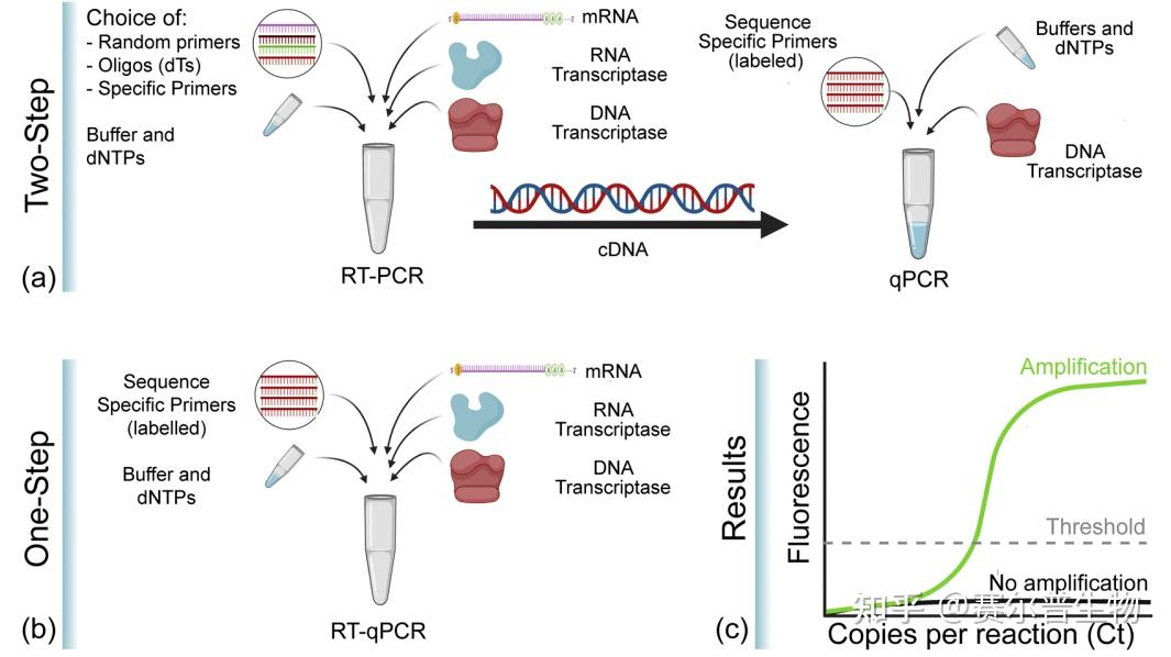 如何区分pcr、rt Pcr、qpcr、real Time Pcr、real Time Rt Pcr ？ 知乎