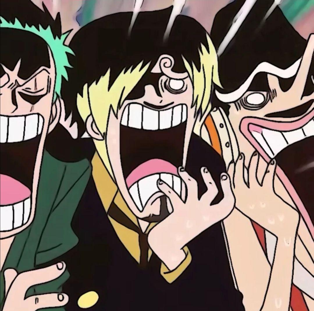 有没有适合四个兄弟的海贼王头像