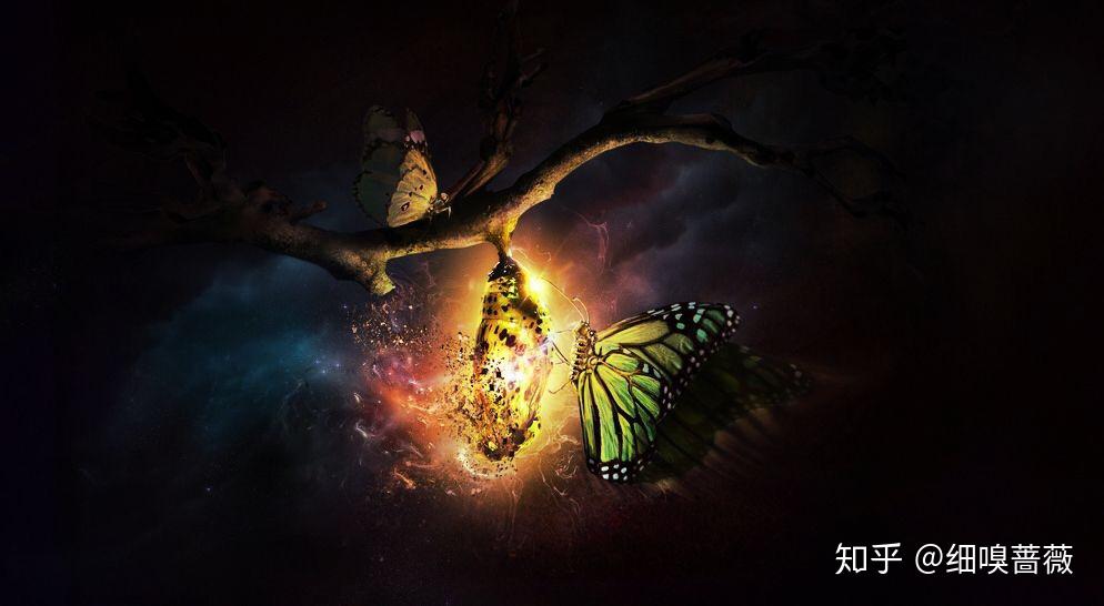 痛苦的蜕变 - 知乎