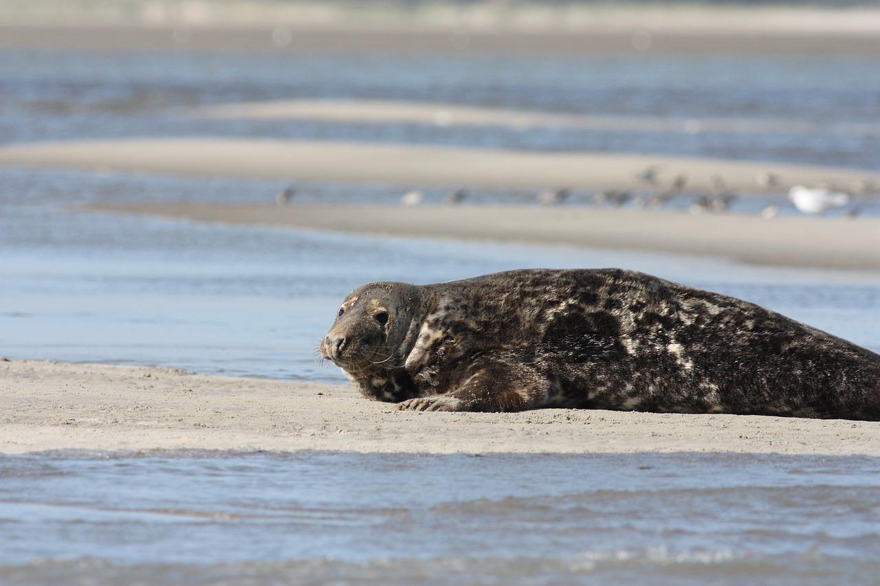 4. 套管连接方法