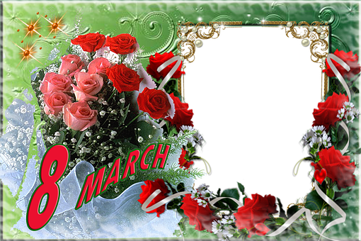 妇女节送什么花为什么