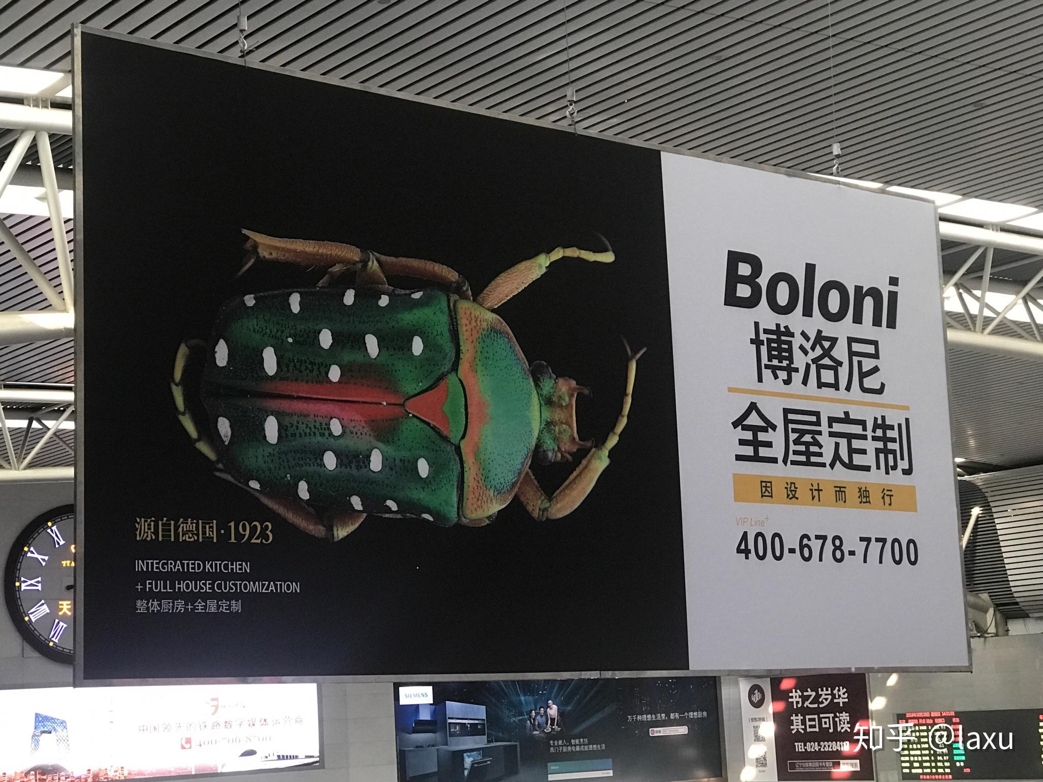 博洛尼为什么选择一只美丽的虫子做代言? - 知乎