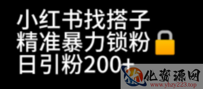 小红书找搭子暴力精准锁粉+引流日引200+精准粉