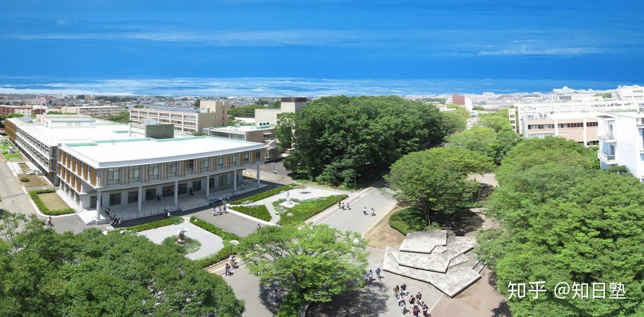 合格体验谈vol20跨考零基础无语言成绩揭秘社会学大学院5人小班全员