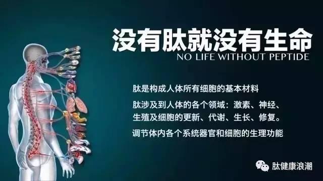 v2-c0f379f476a05008ddee0e2e66ceedf1_1200x500.jpg