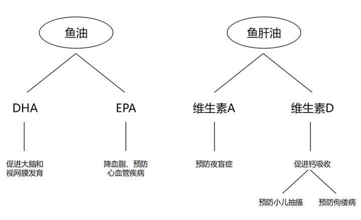 鱼油 知乎