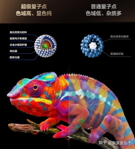 【618选电视进】长期主义电视选购攻略分享:为什么我婉拒SQD-Mini LED?什么样的Mini LED电视算技术成熟?对比海信小墨E5S和TCL T7M Pro配置,一文讲清