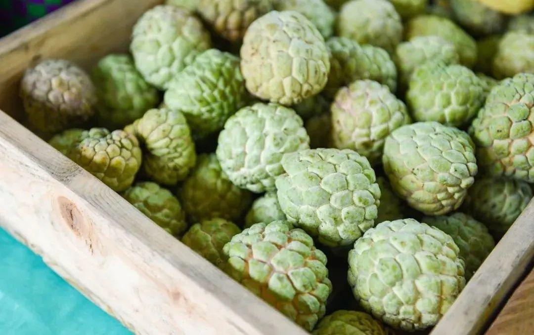 Sugar Apple