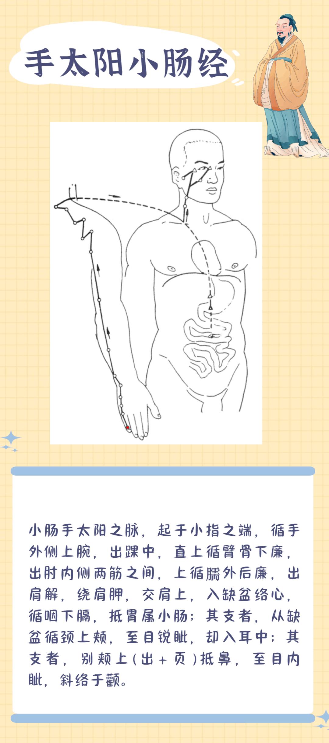 十二经脉笔记（干货） - 知乎