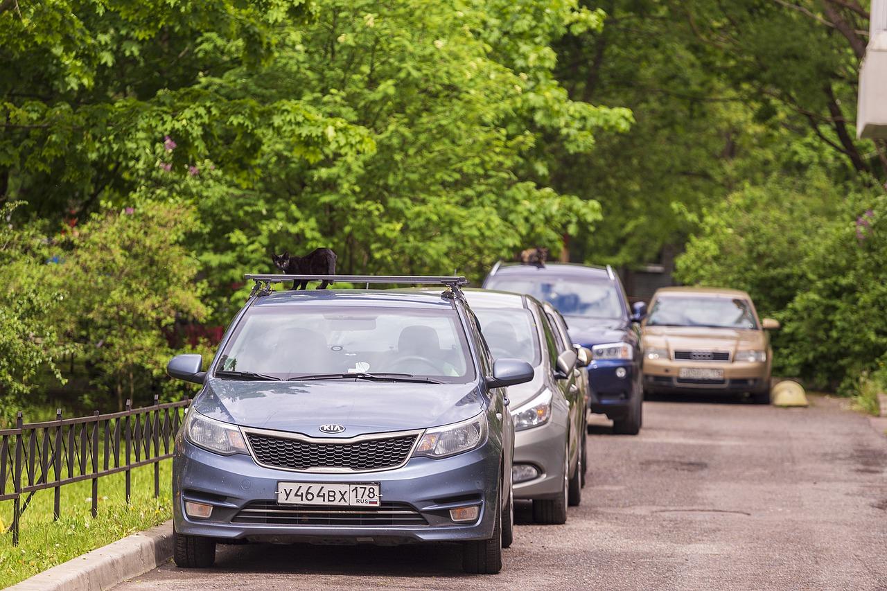 漫长失落的足迹