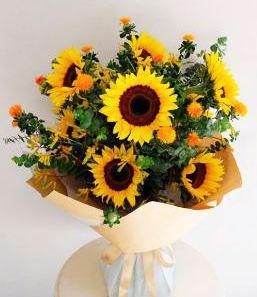 花艺知识丨向日葵盛开的夏日 专属你的那抹阳光找到了吗 知乎