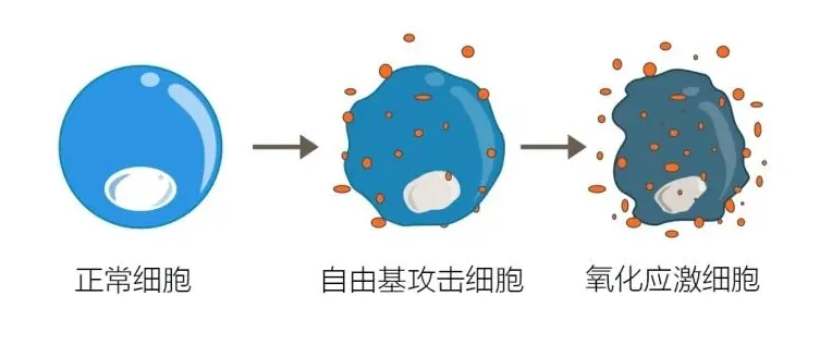 自由基的产生方式有哪些？ - 知乎