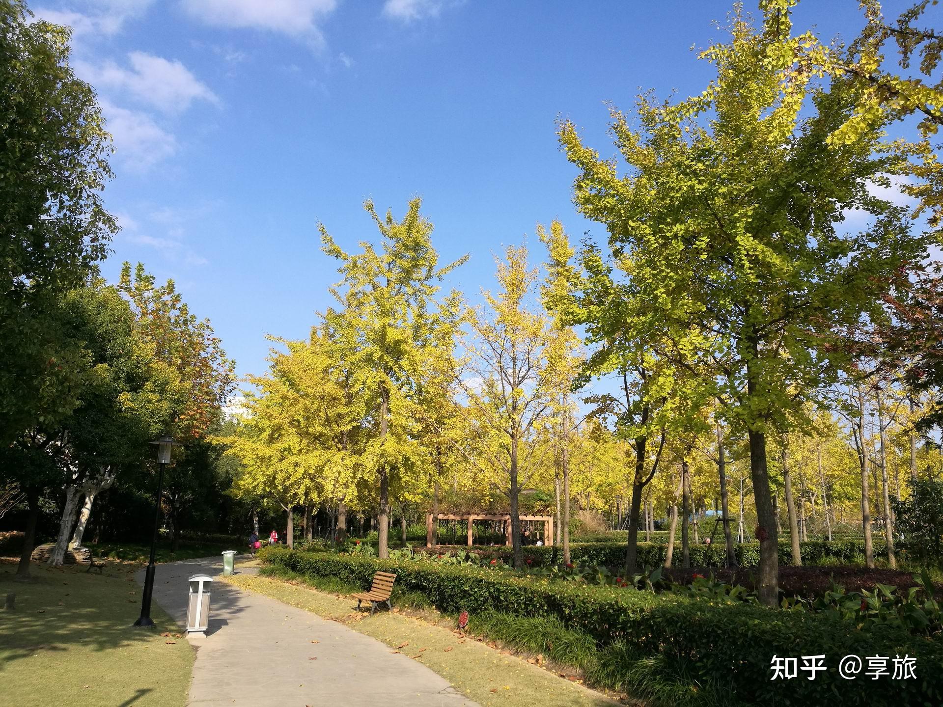 2018-08-22上海黄兴公园五-中关村在线摄影论坛