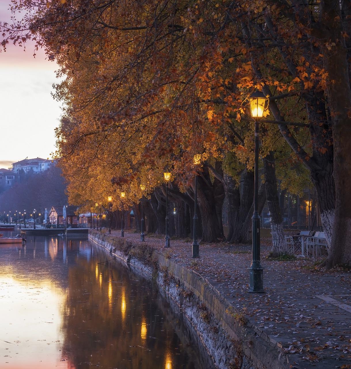 蜿蜒小径灯光映