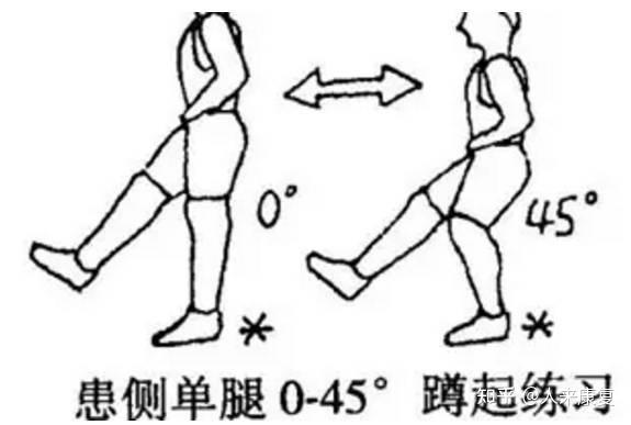 离心训练动作图片