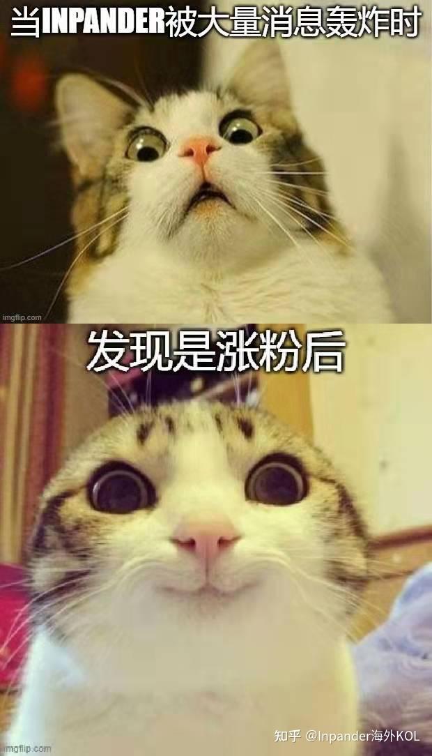 被忽视的营销方式——MEME,AKA营销界泥石流 //如何让你的营销与众不同? - 知乎