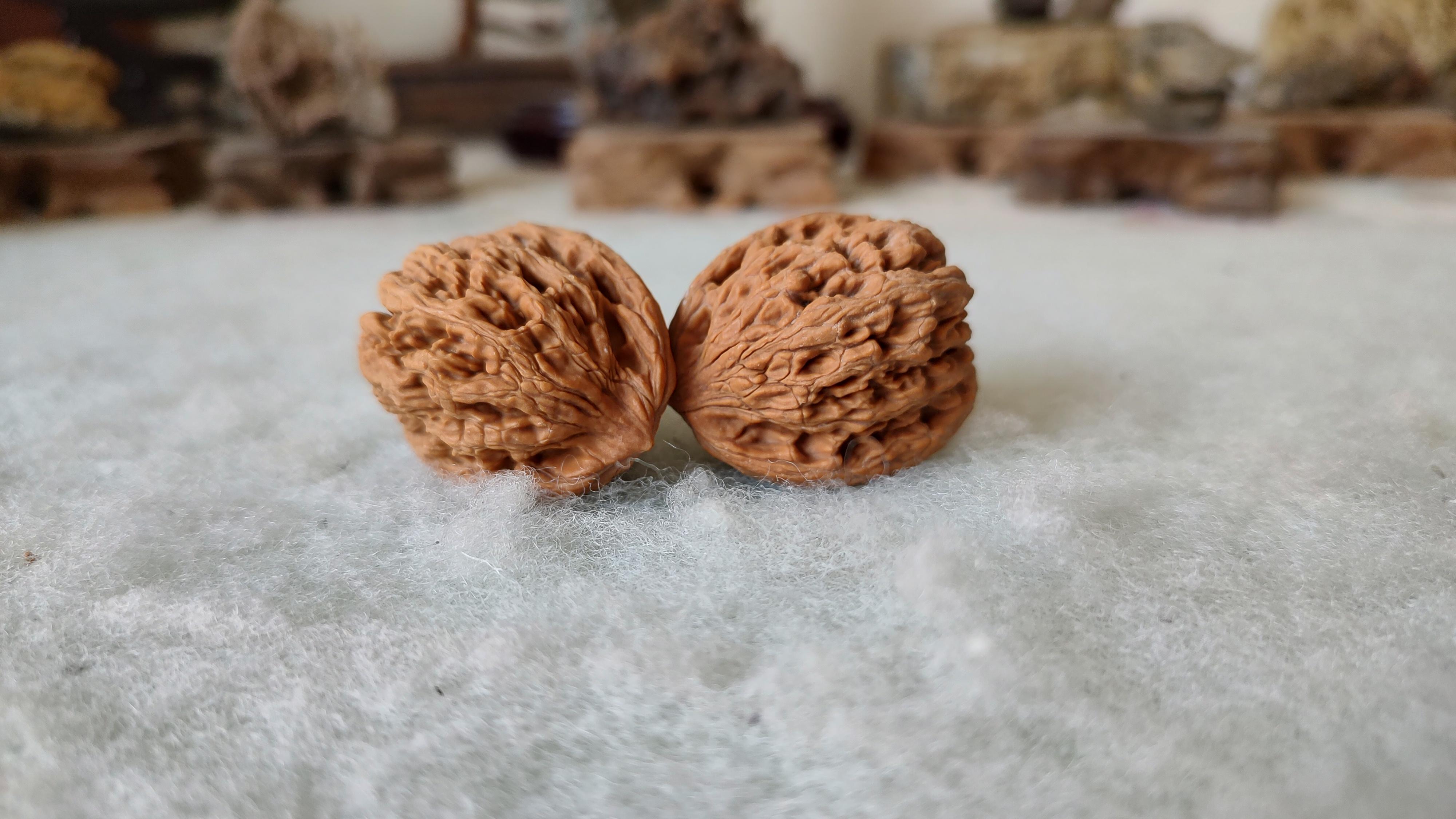 风氏文玩收藏馆:0076 麻核桃 麦穗虎头