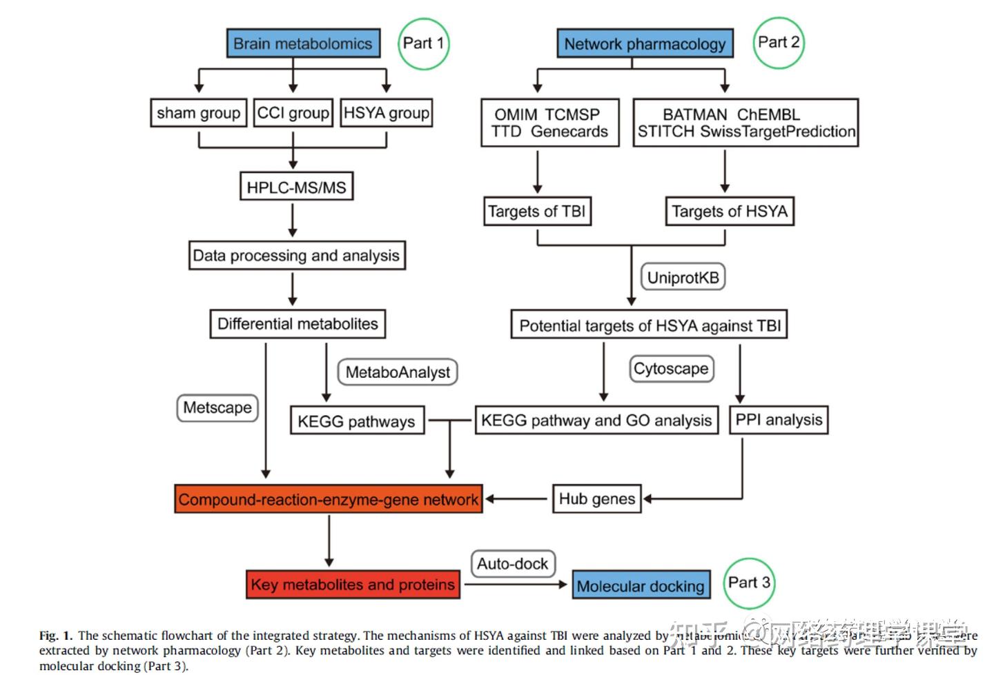 分享一篇结合代谢组学、网络药理学和分子对接研究单体作用机制的6分SCI论文 - 知乎