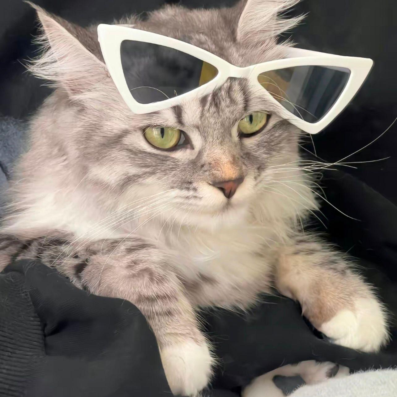 有没有好看的微信头像,求图求图!