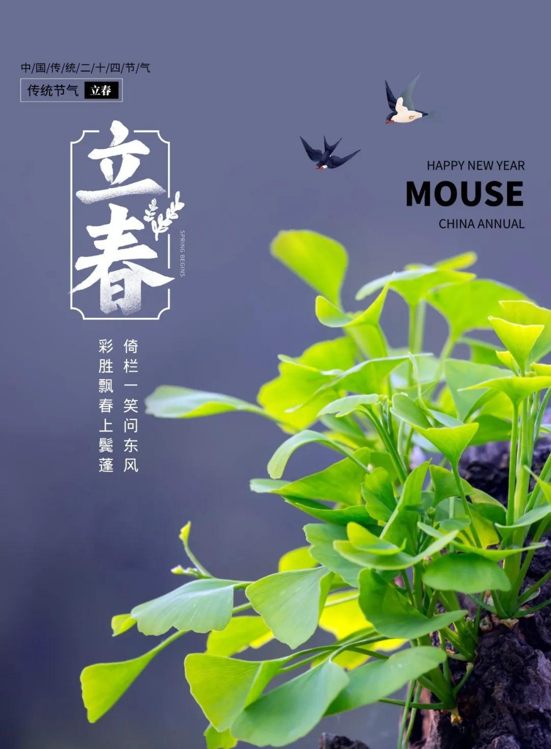 立春始万物生海报文案接住