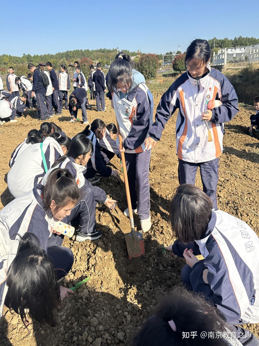 校园报道 躬耕学农事,实践觅真知—铁北初二学子学农实践活动