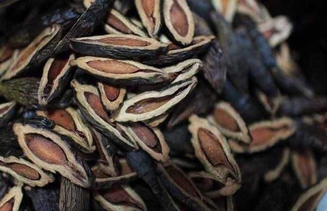 因槟榔渣引起的聚众斗殴怎么判刑?能保释吗?