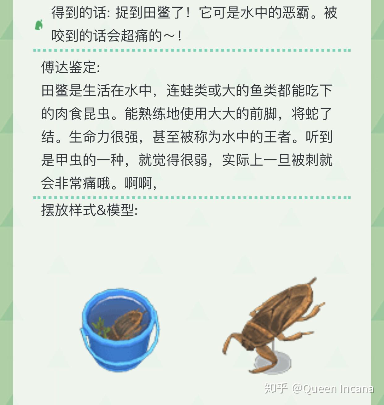 这是个什么怪物啊