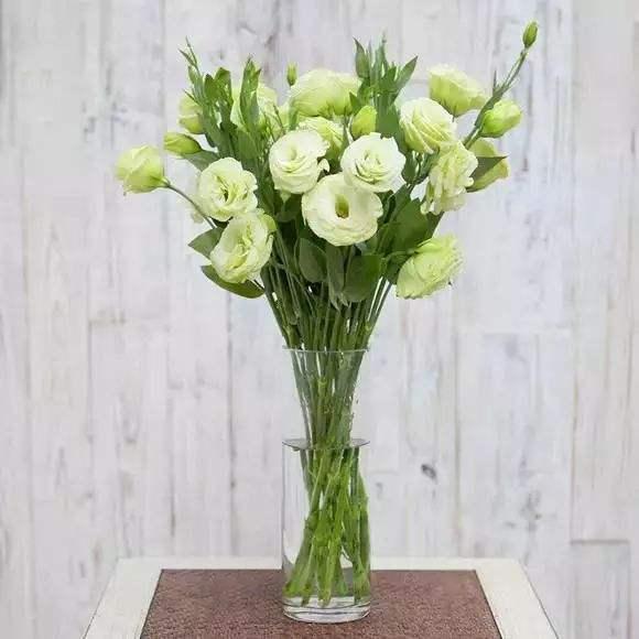 植库‖洋桔梗不用拼,几十块买一大瓶