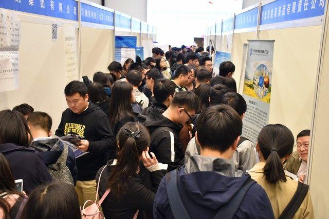2023年高校毕业生就业情况分析:全球经济下行时代下的内卷就业 - 知乎