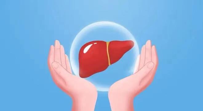 肝脏不好的表现有哪些？ 知乎