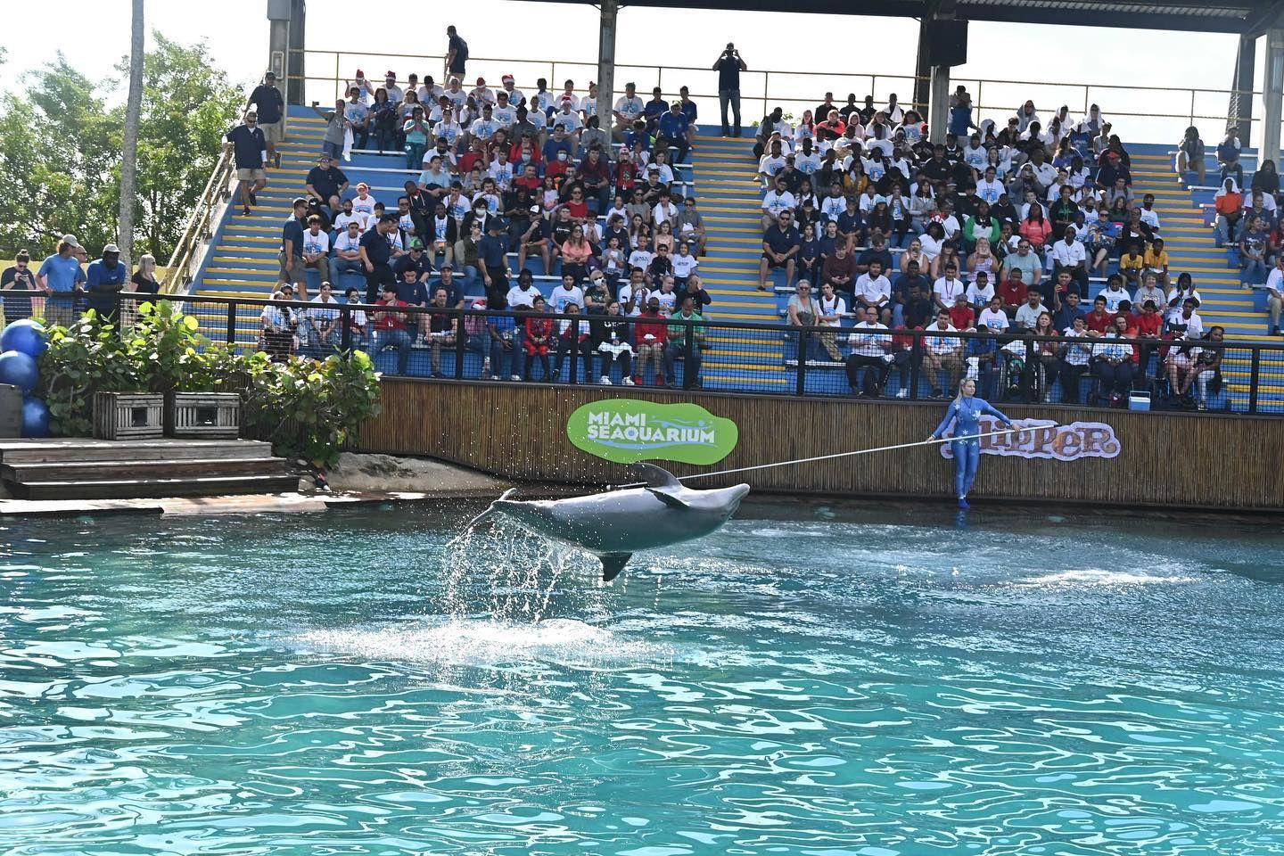 迈阿密水族馆图片