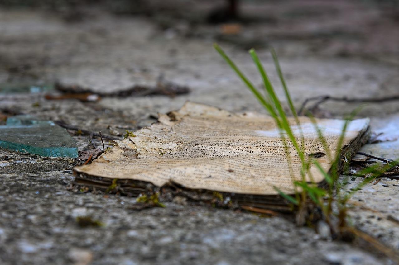 如何使用25格作文纸电子档