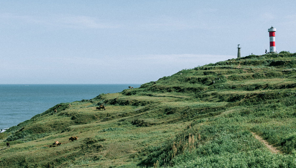 厦门春节是旺季吗_马尔代夫旅游 旺季_厦门鼓浪屿旅游旺季