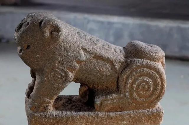 图腾崇拜雷州人撸狗很高级