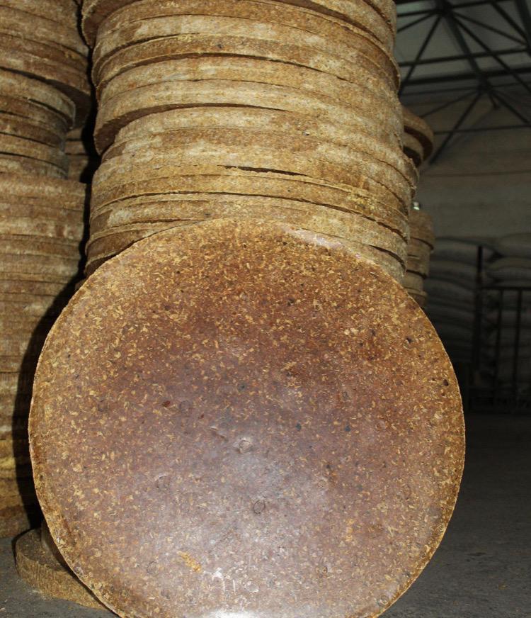 为什么猪每天吃草,吃糠这些低热量没营养的东西还能长这么肥?