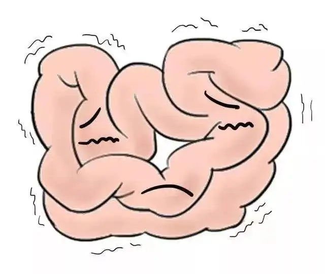 肚子咕噜噜叫有可能不是你饿了而是身体在报警