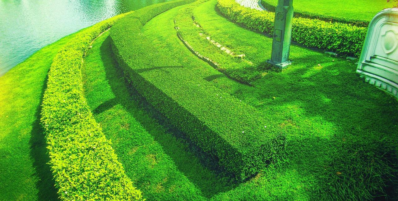 4. 草芳围价格走势